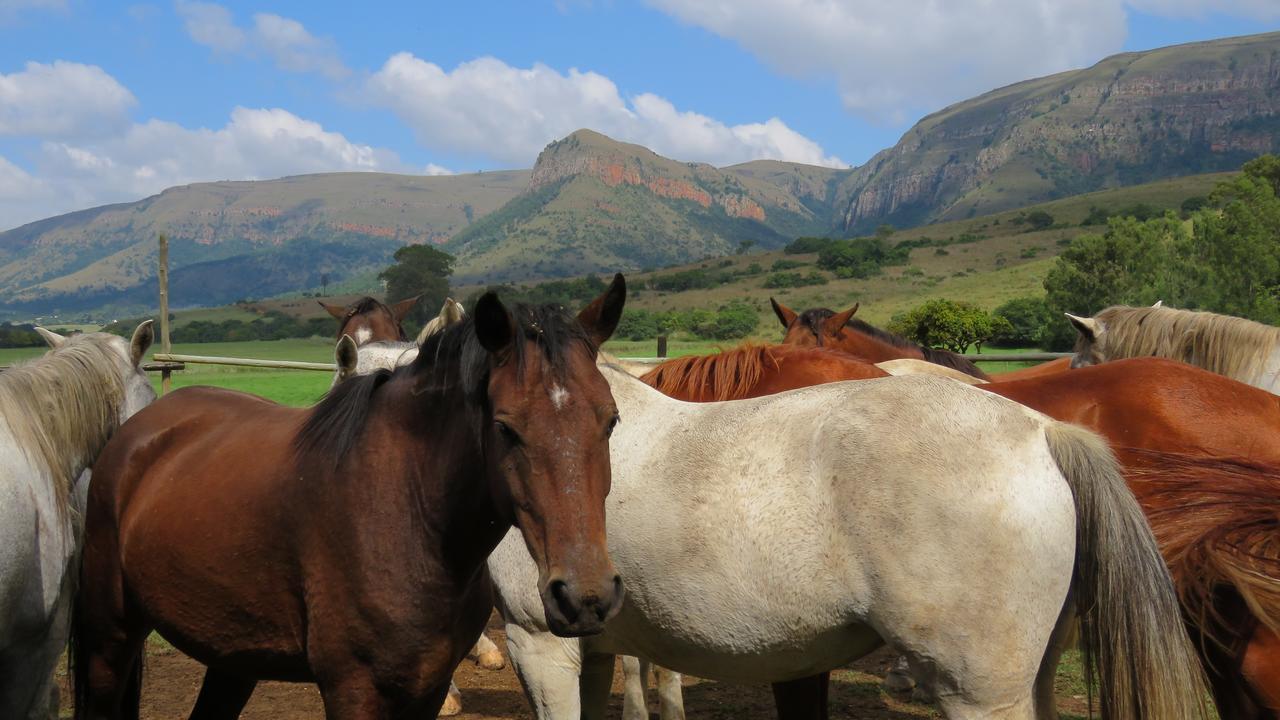 Verlorenkloof Dullstroom Exteriör bild